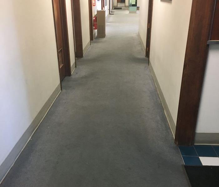  Commercial property hallway with blue carpet