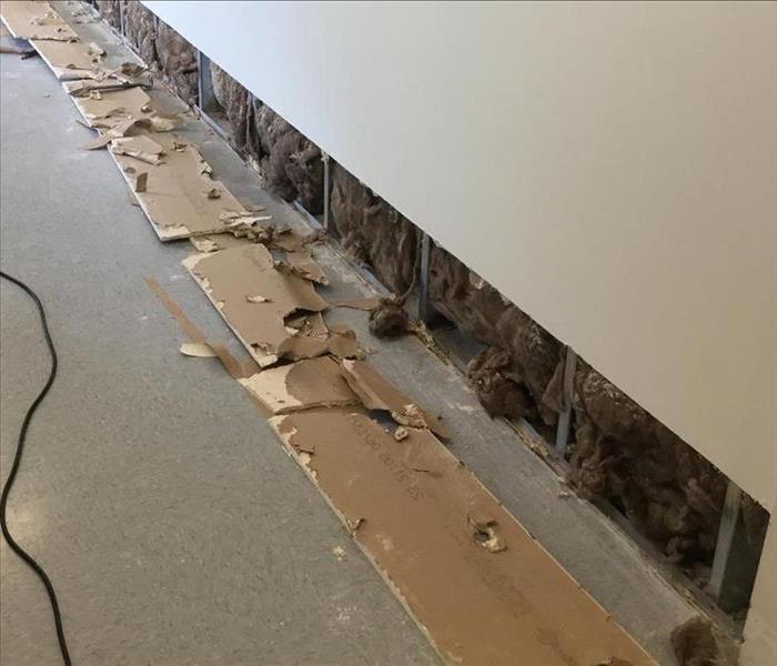 flood cut on wall, insulation mold infested